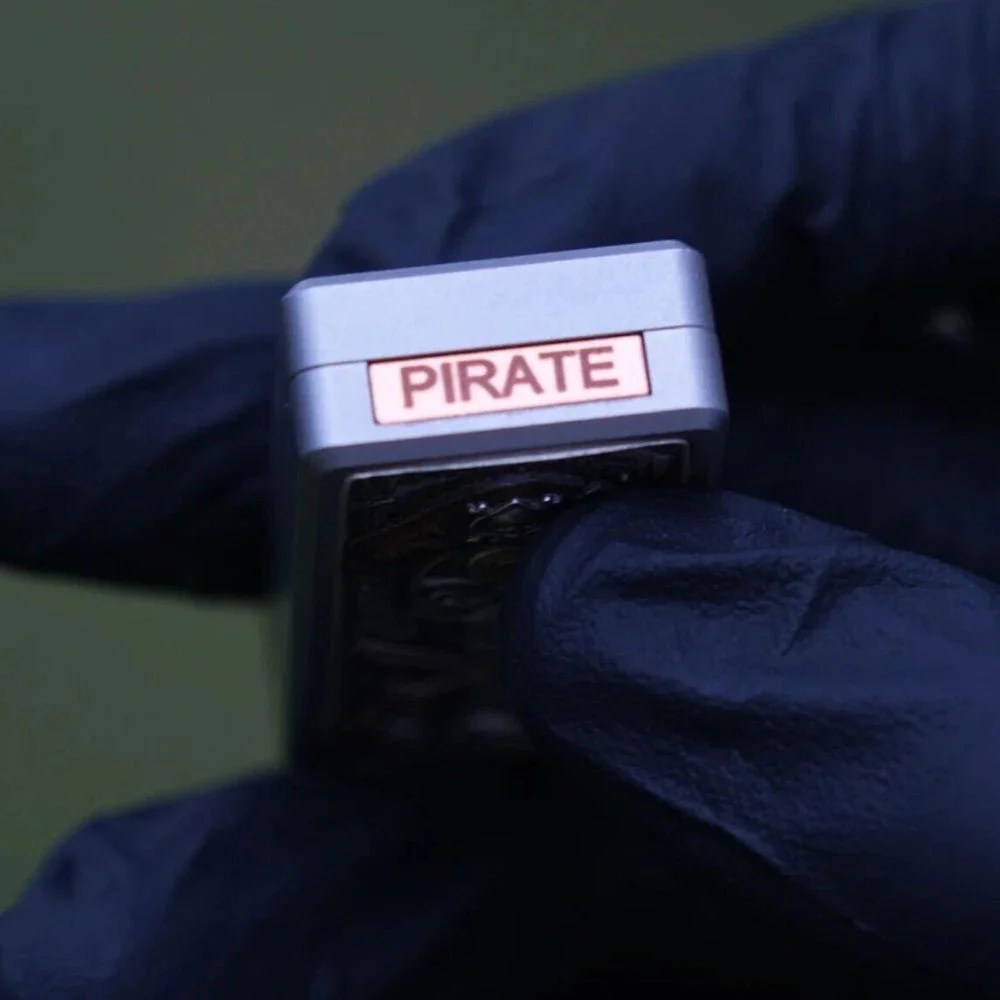 SAS Studio Pirate King - Image 5